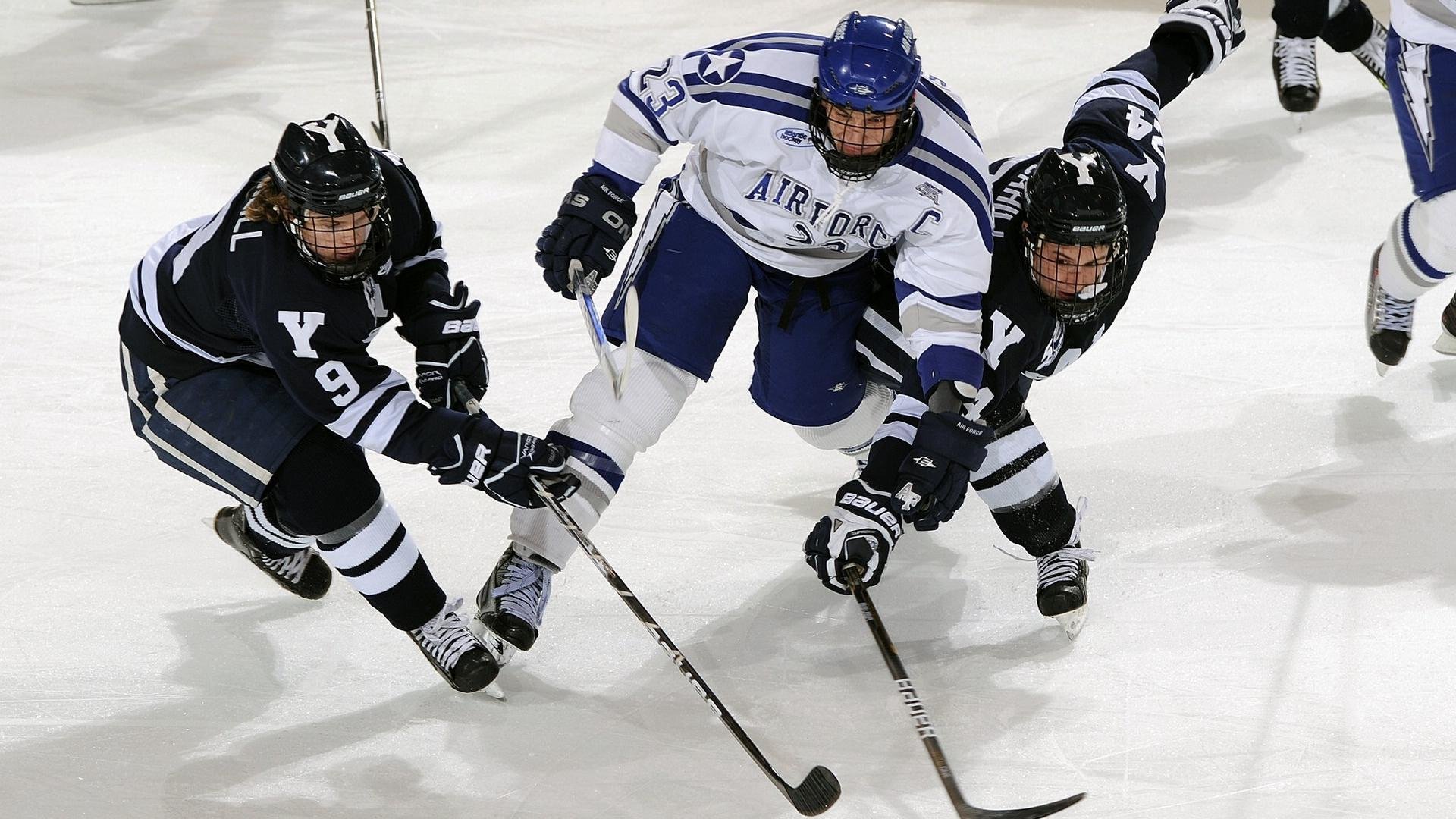 全明星投票倒计时：粉丝、球员、教练哪个最有发言权？，全明星投票规则